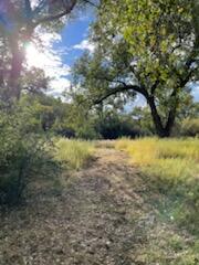 Photo 15 —  Co Rd 120