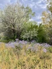 Photo 13 —  Co Rd 120