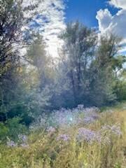 Photo 12 —  Co Rd 120