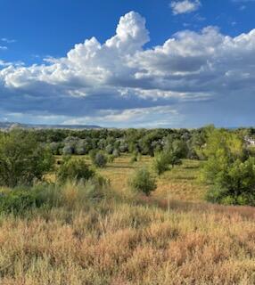Photo 9 —  Co Rd 120