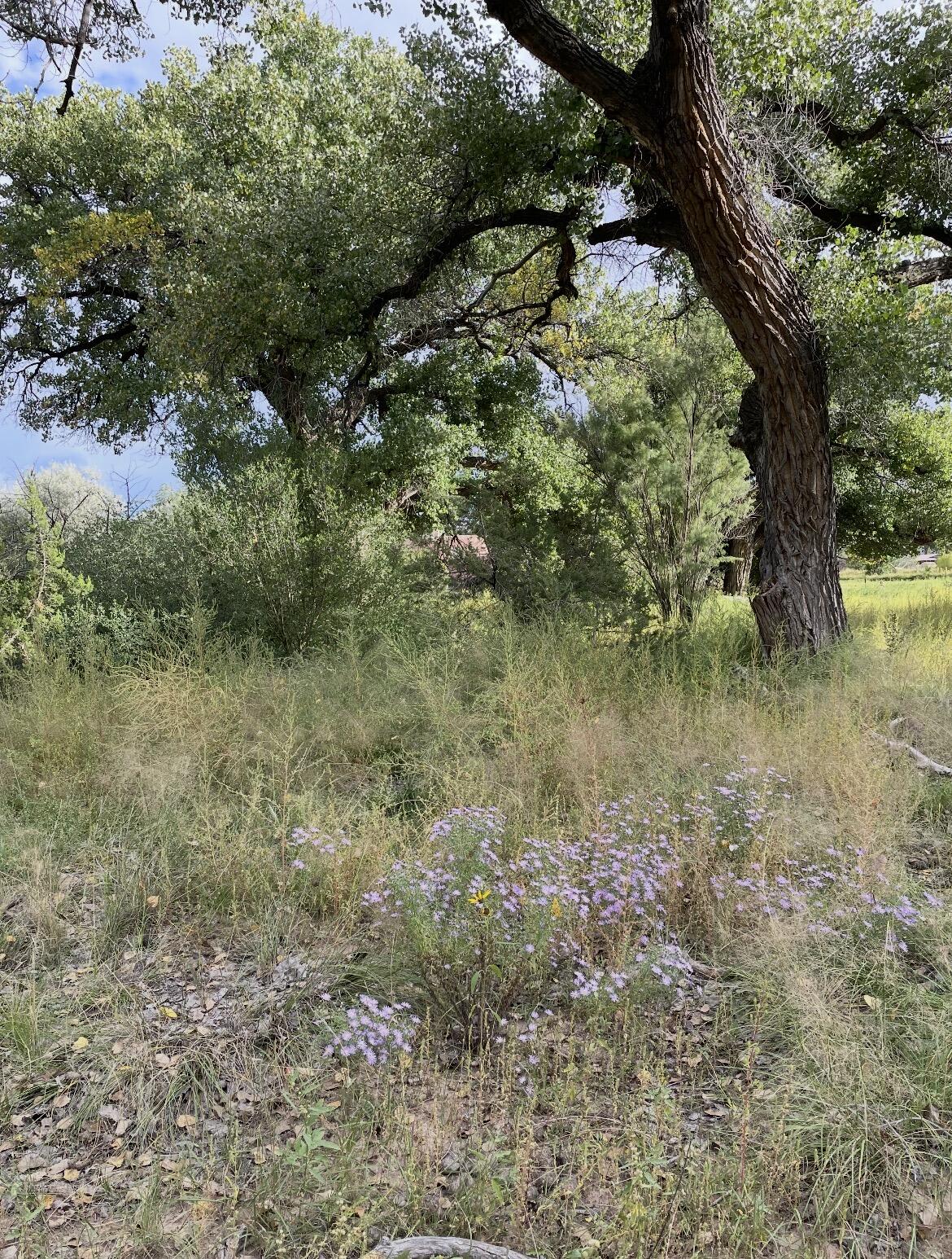 Photo 2 —  Co Rd 120