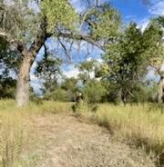 Photo 20 —  Co Rd 120