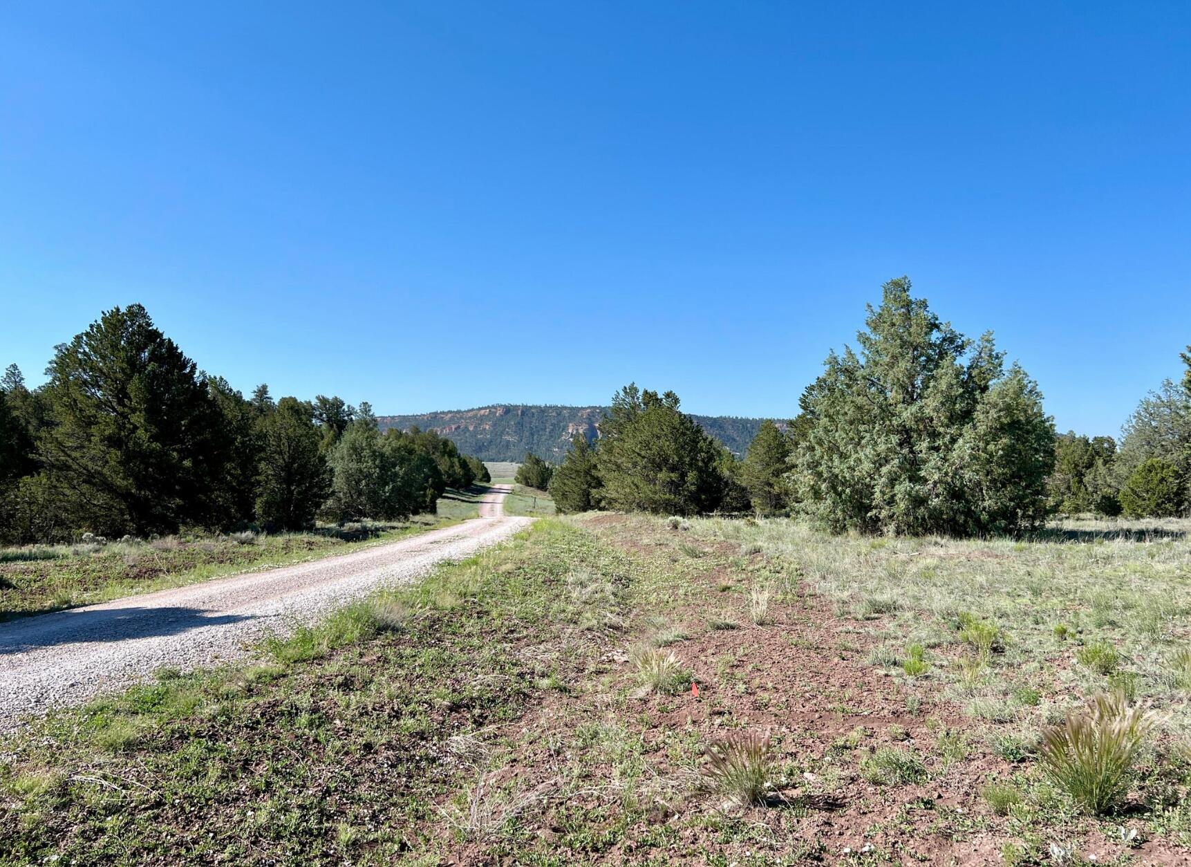 Photo 20 — Lot 15 Buttonwood Drive