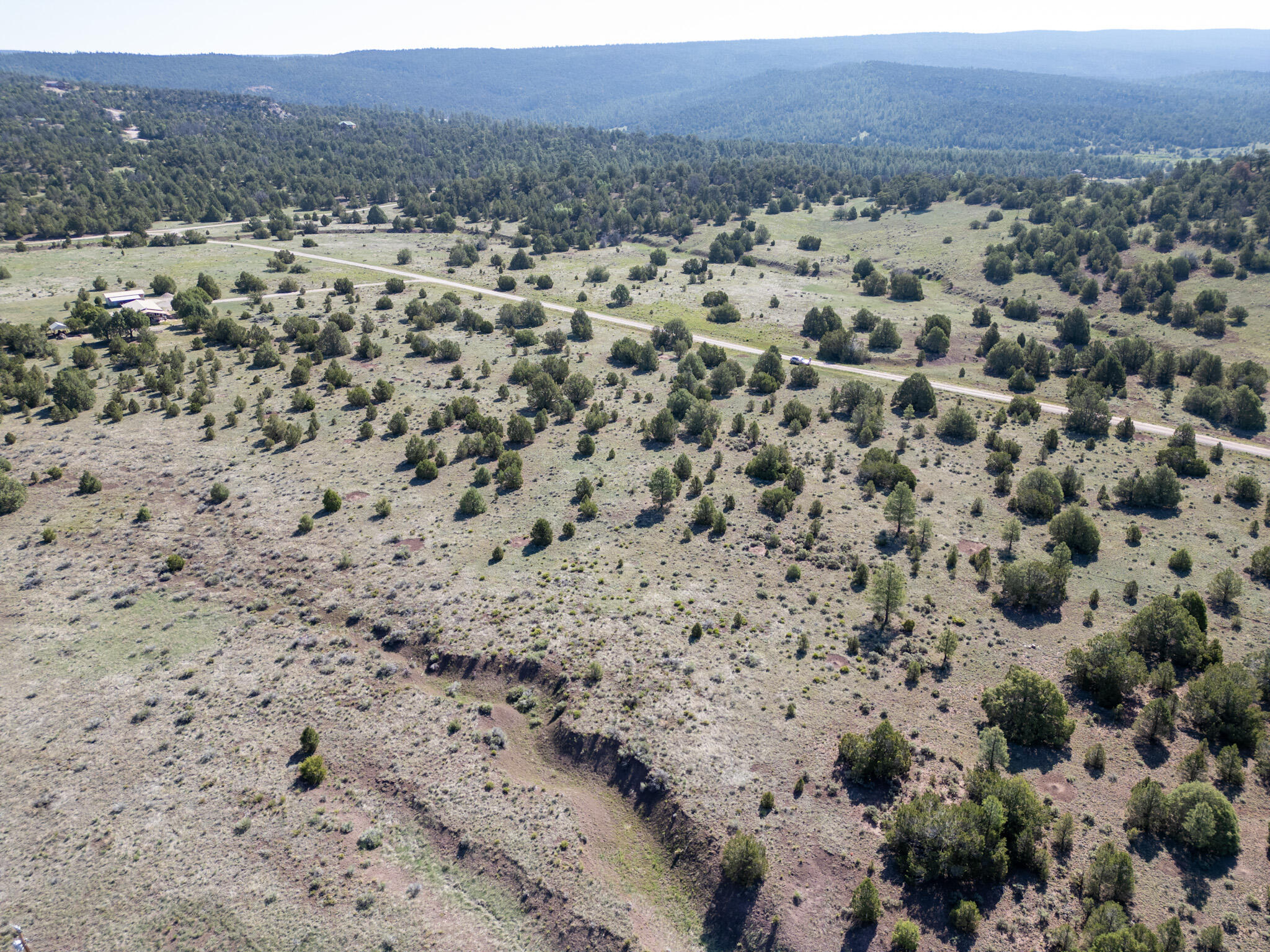 Photo 19 — Lot 15 Buttonwood Drive