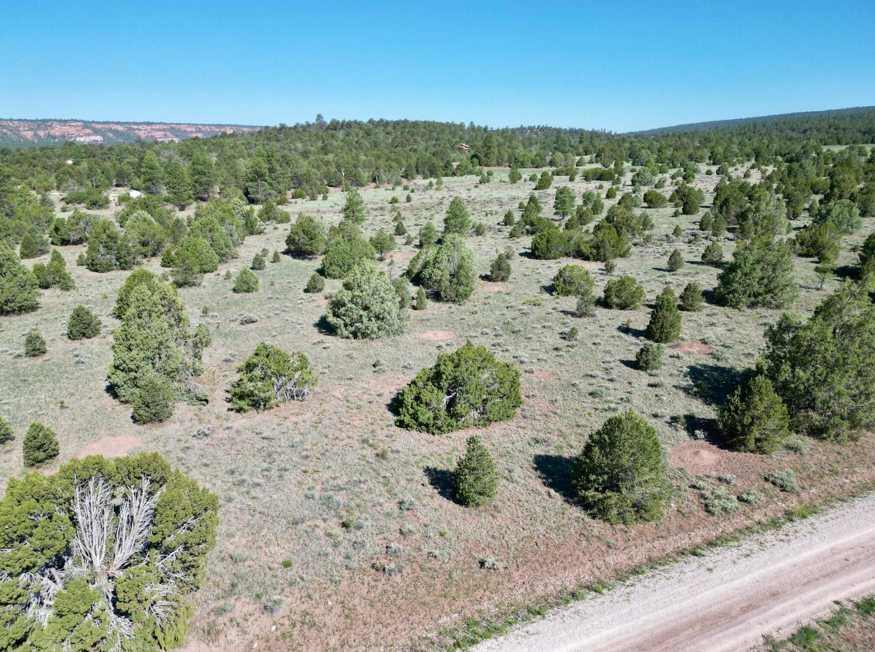 Photo 16 — Lot 15 Buttonwood Drive