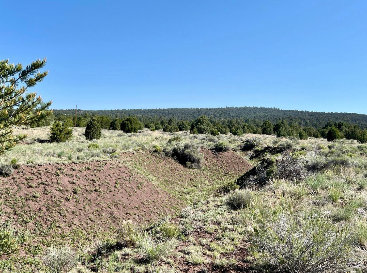 Photo 15 — Lot 15 Buttonwood Drive