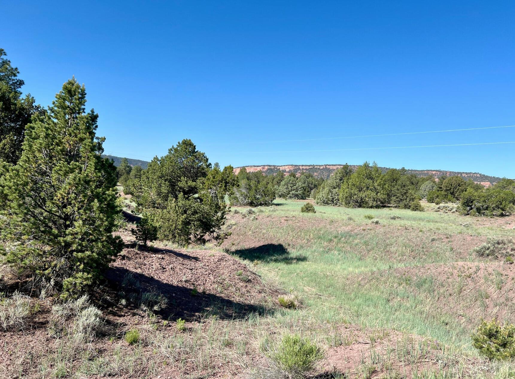 Photo 14 — Lot 15 Buttonwood Drive