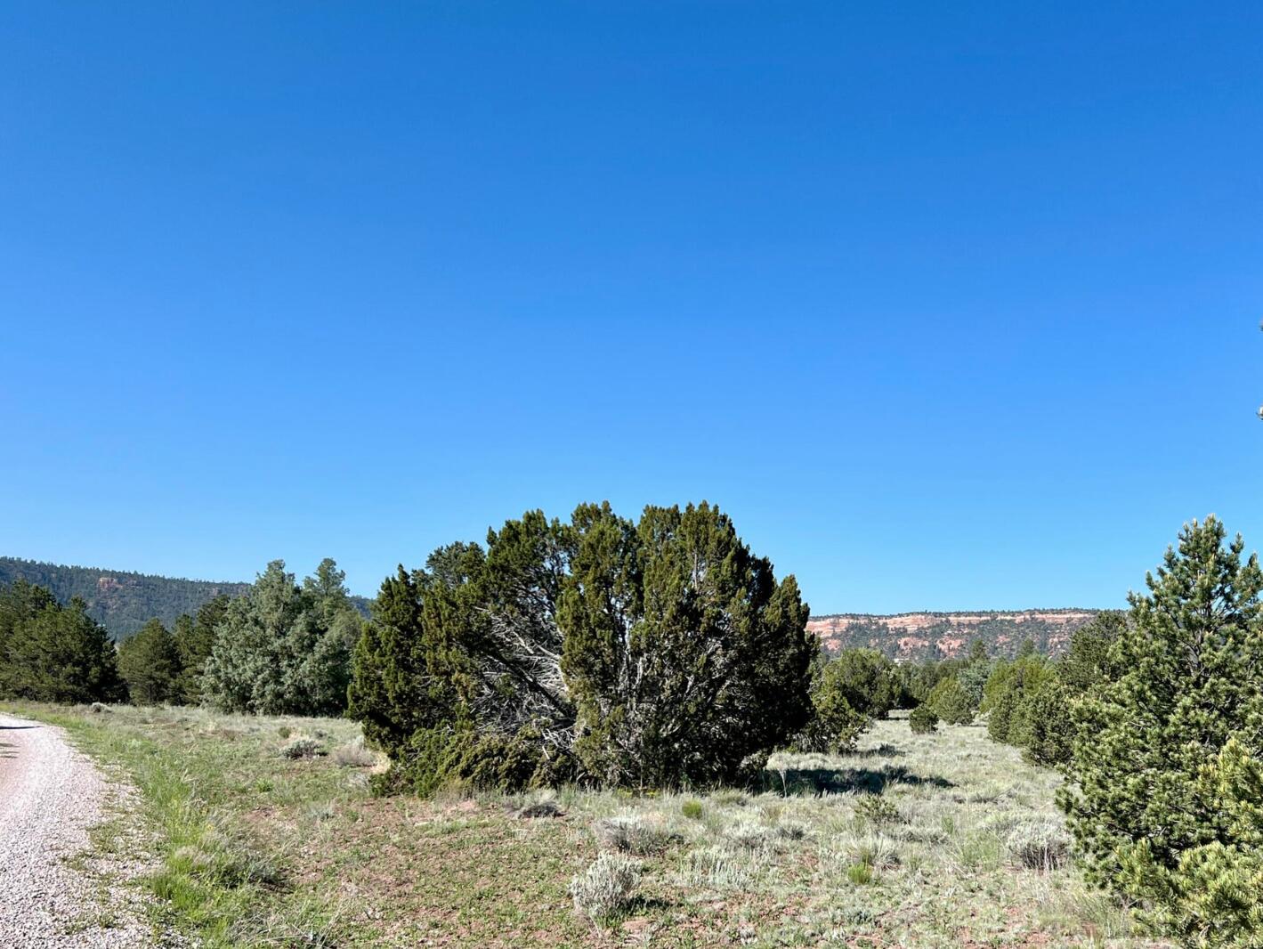 Photo 13 — Lot 15 Buttonwood Drive