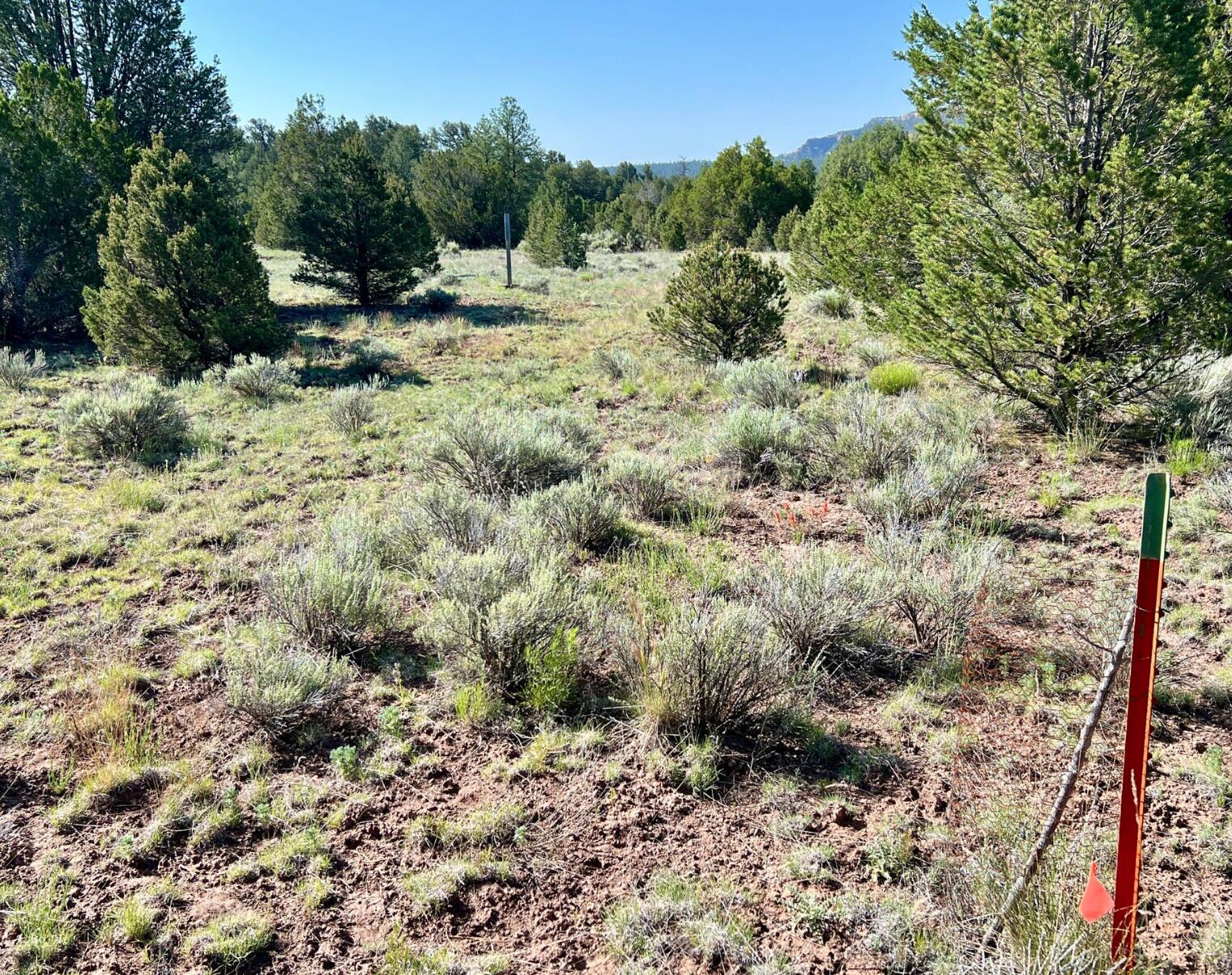 Photo 12 — Lot 15 Buttonwood Drive