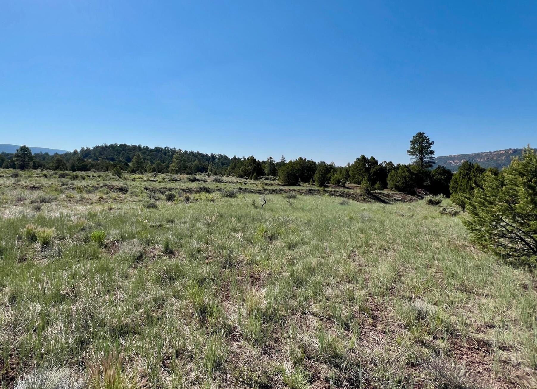 Photo 11 — Lot 15 Buttonwood Drive