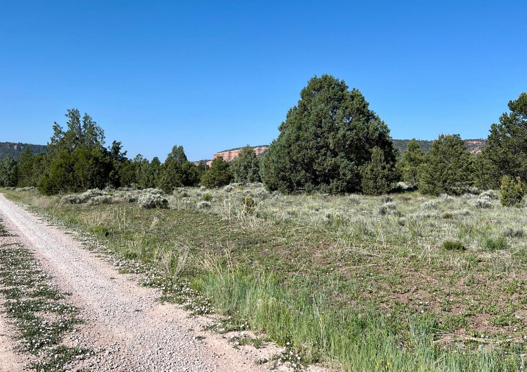 Photo 10 — Lot 15 Buttonwood Drive