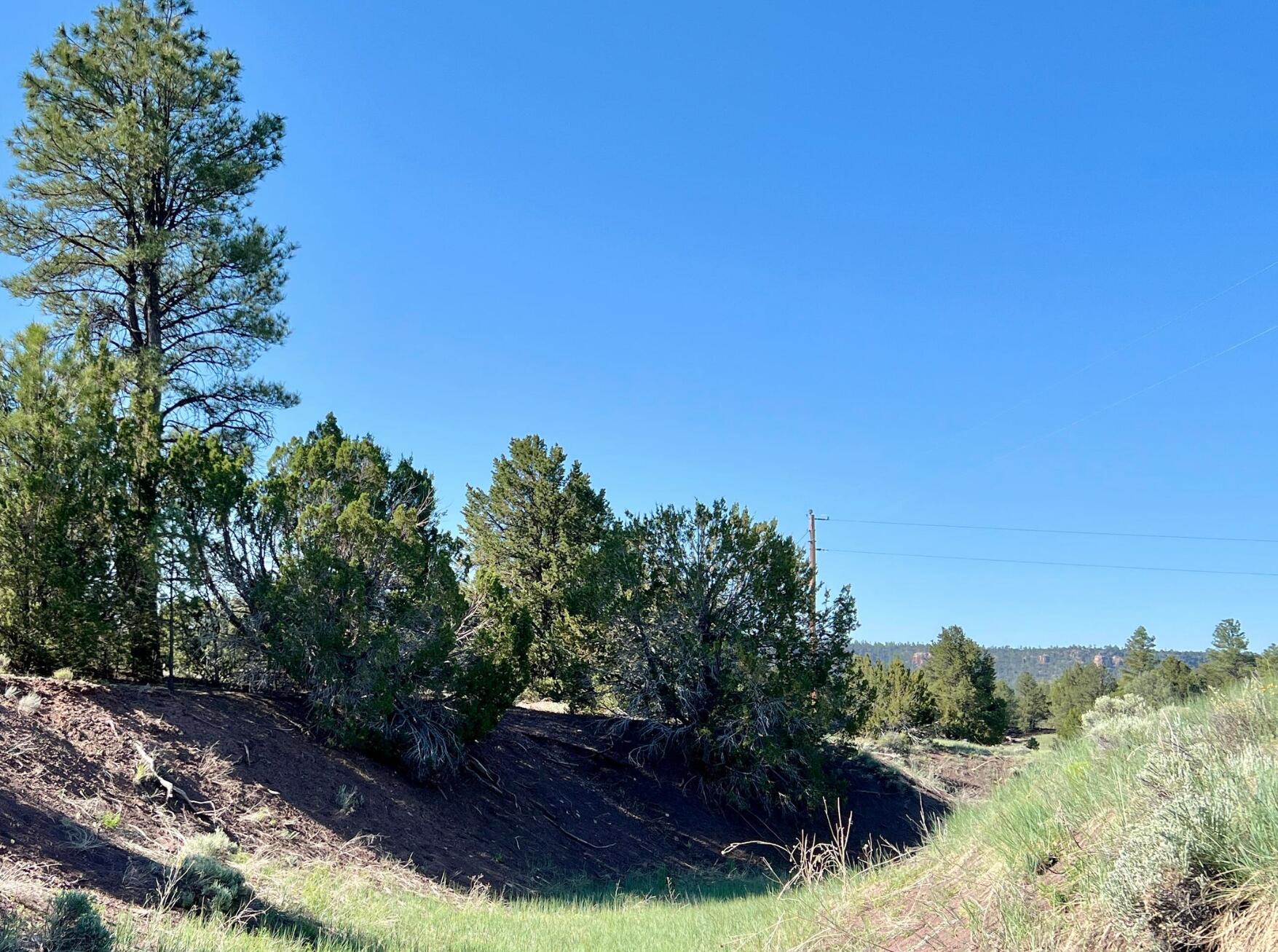 Photo 9 — Lot 15 Buttonwood Drive