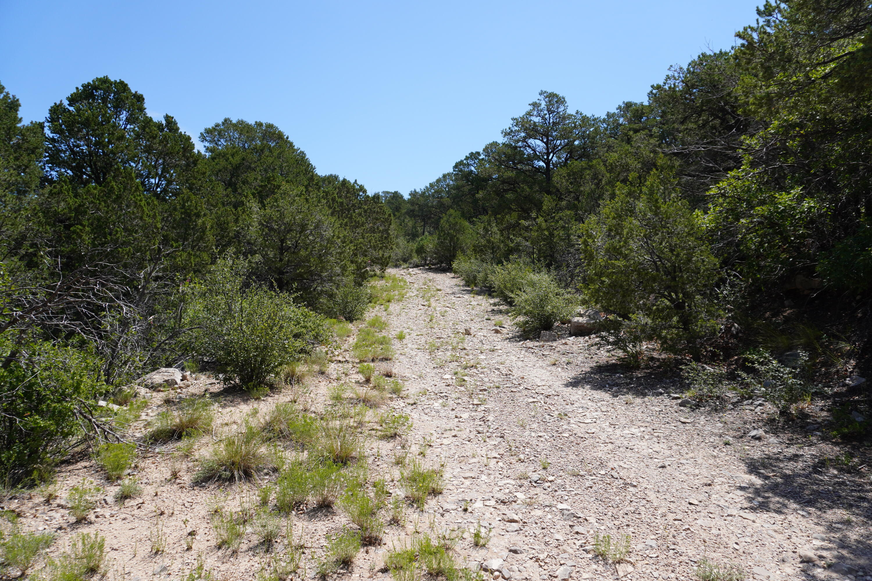 Photo 3 — 263 FIVE HILLS Drive