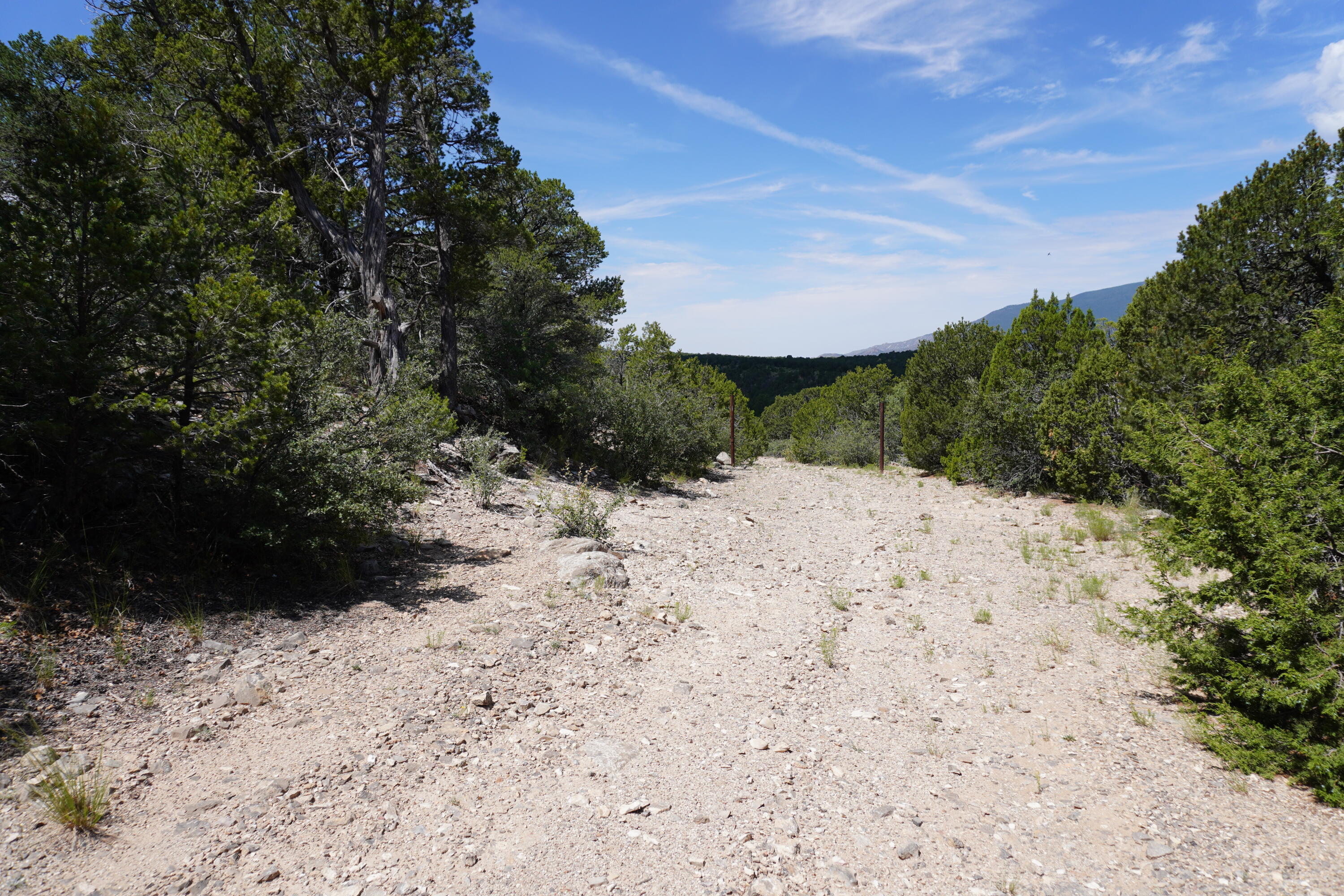Photo 4 — 263 FIVE HILLS Drive