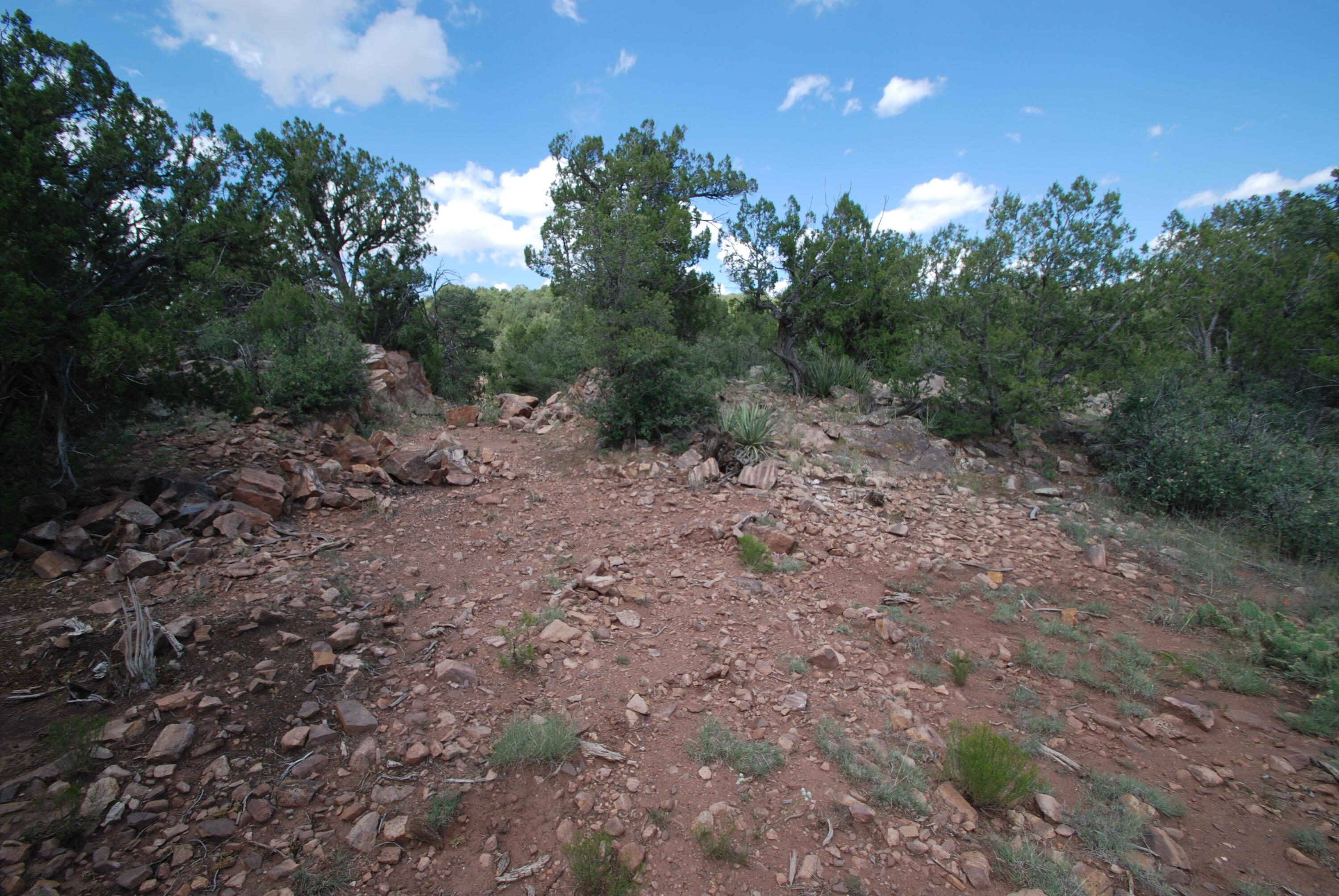 Photo 6 — 9 Escondida