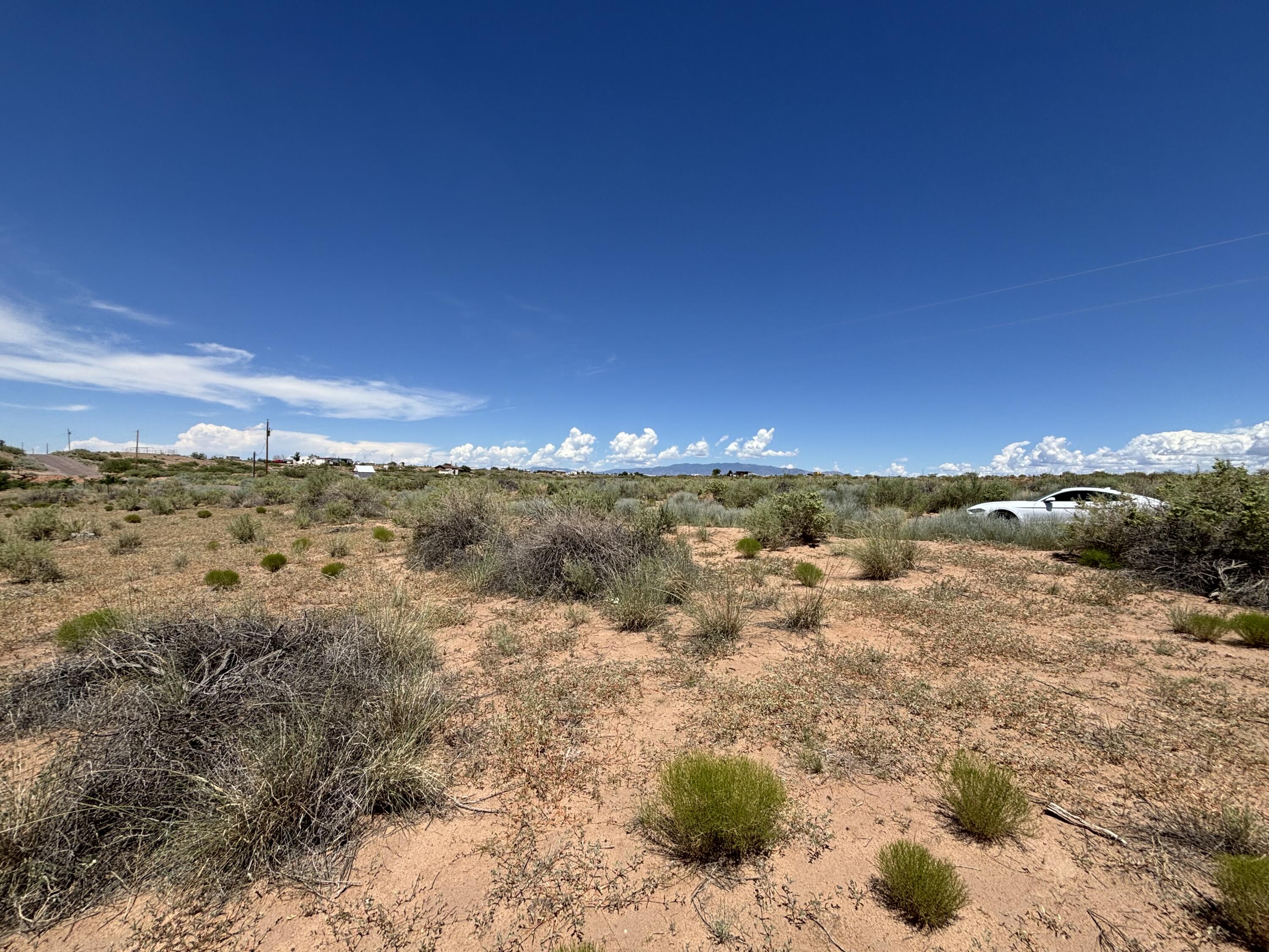 Photo 10 —  WALLNER Drive