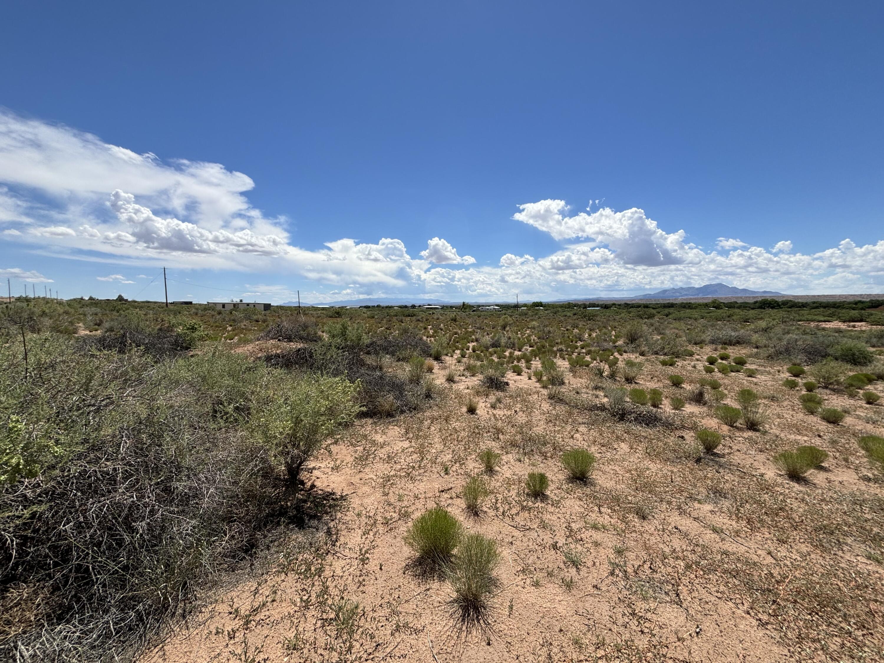 Photo 4 —  WALLNER Drive