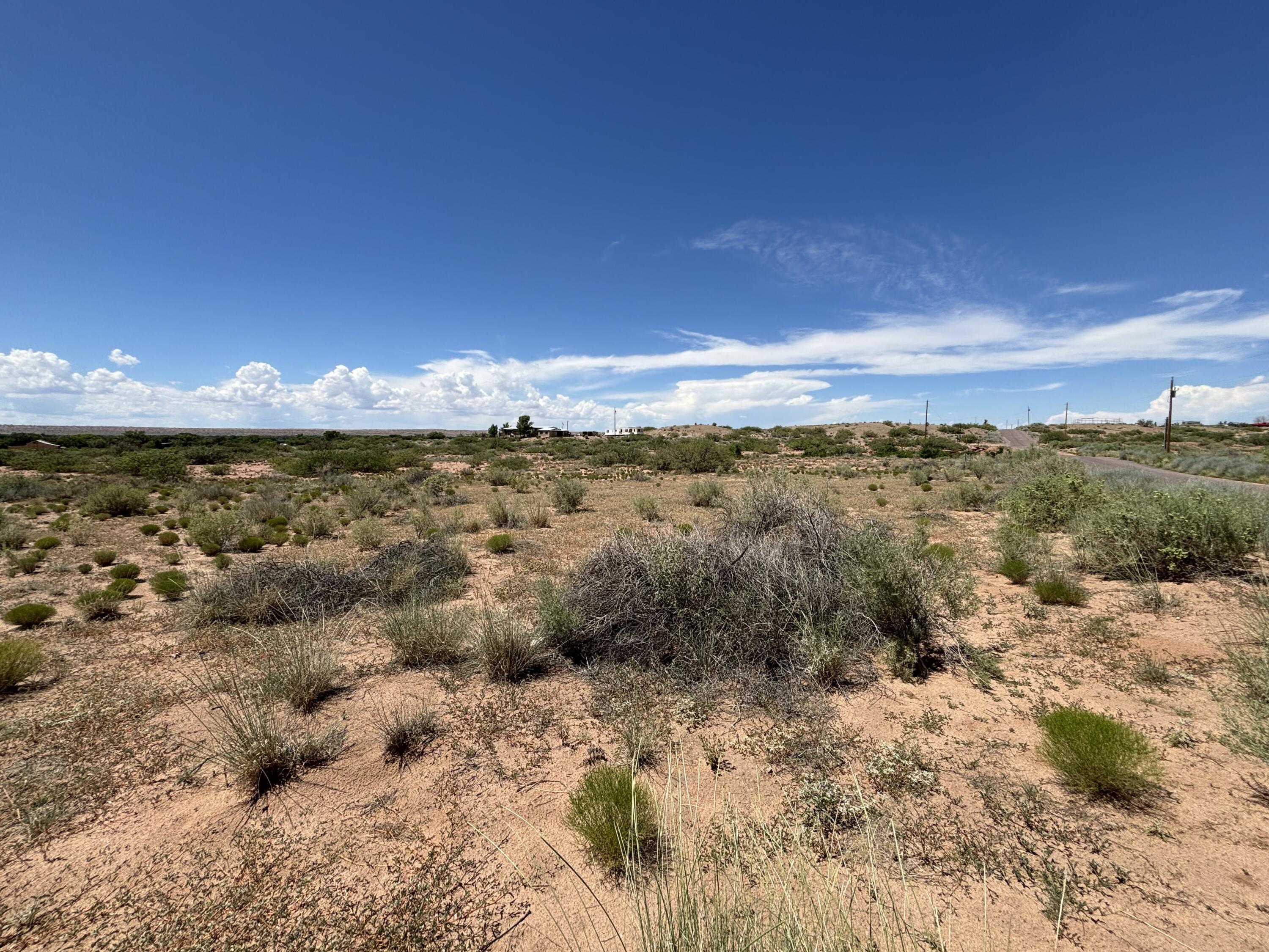 Photo 6 —  WALLNER Drive