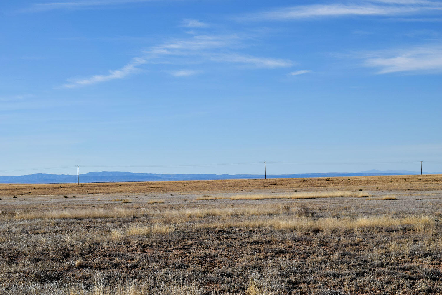Photo 17 — Lot 3 Comales Drive