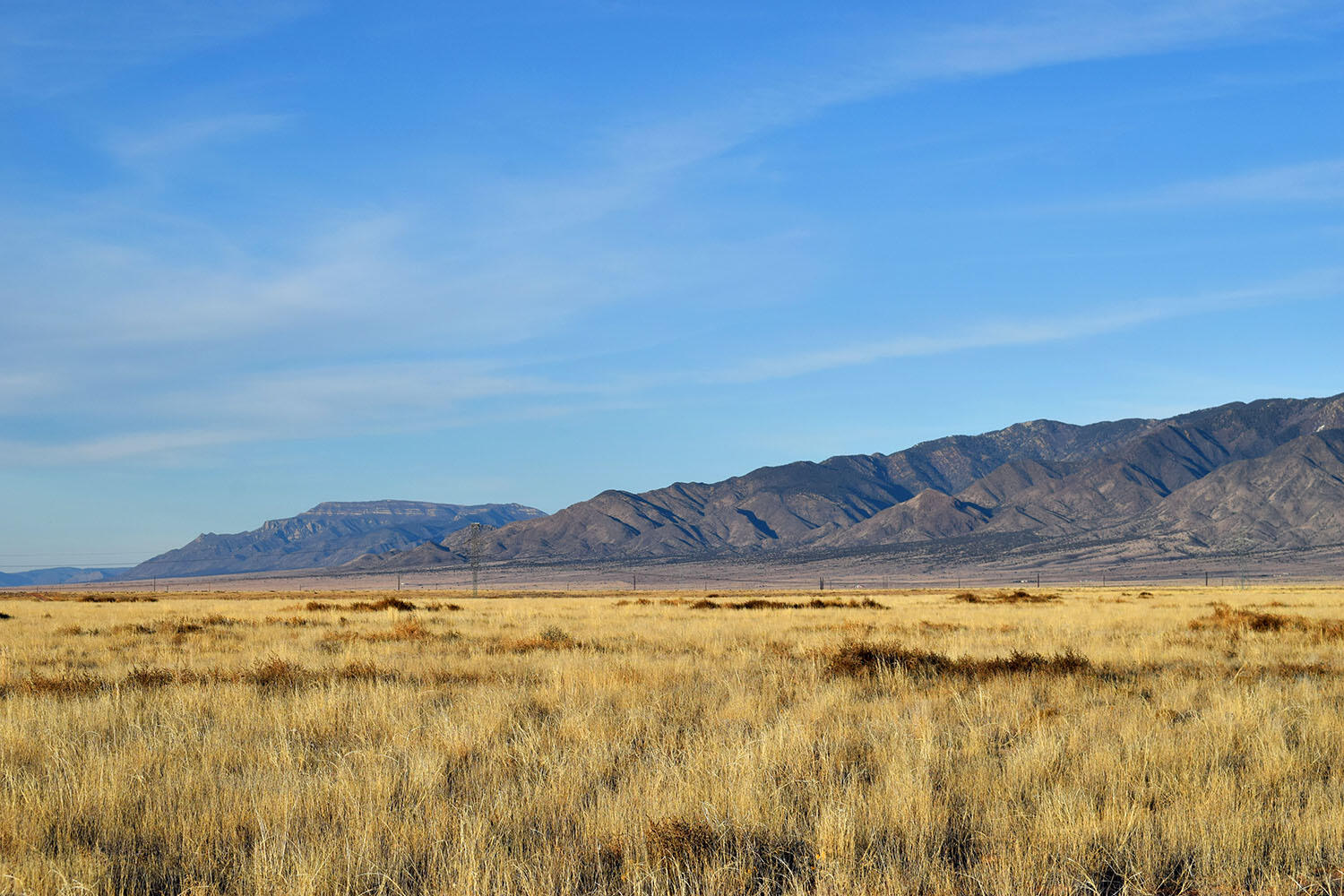 Photo 3 — Lot 1 Comales Drive