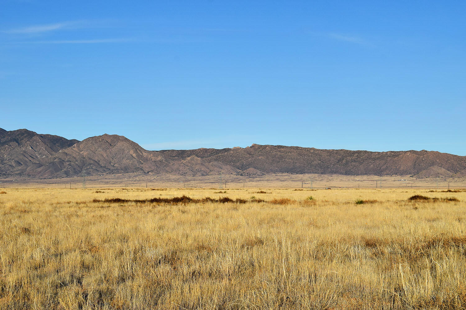 Photo 5 — Lot 1 Comales Drive