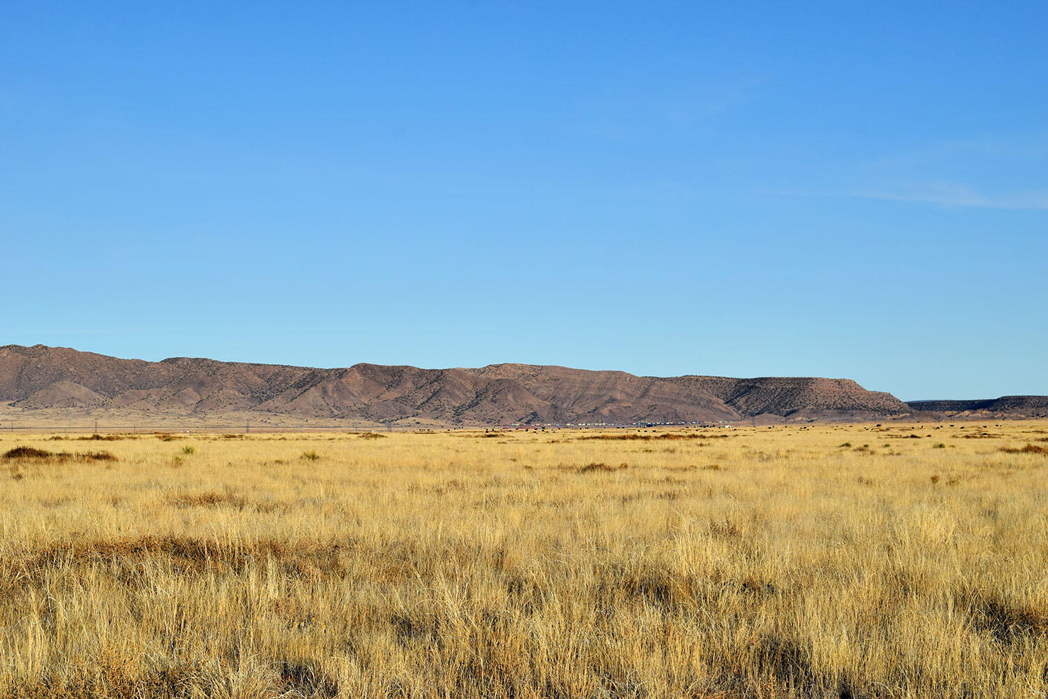 Photo 6 — Lot 1 Comales Drive