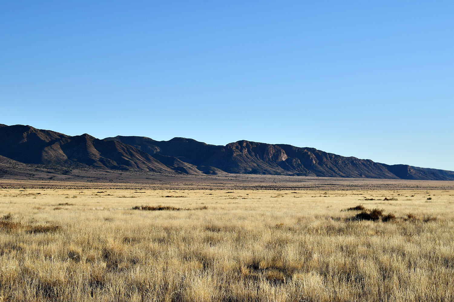 Photo 11 — Lot 1 Comales Drive