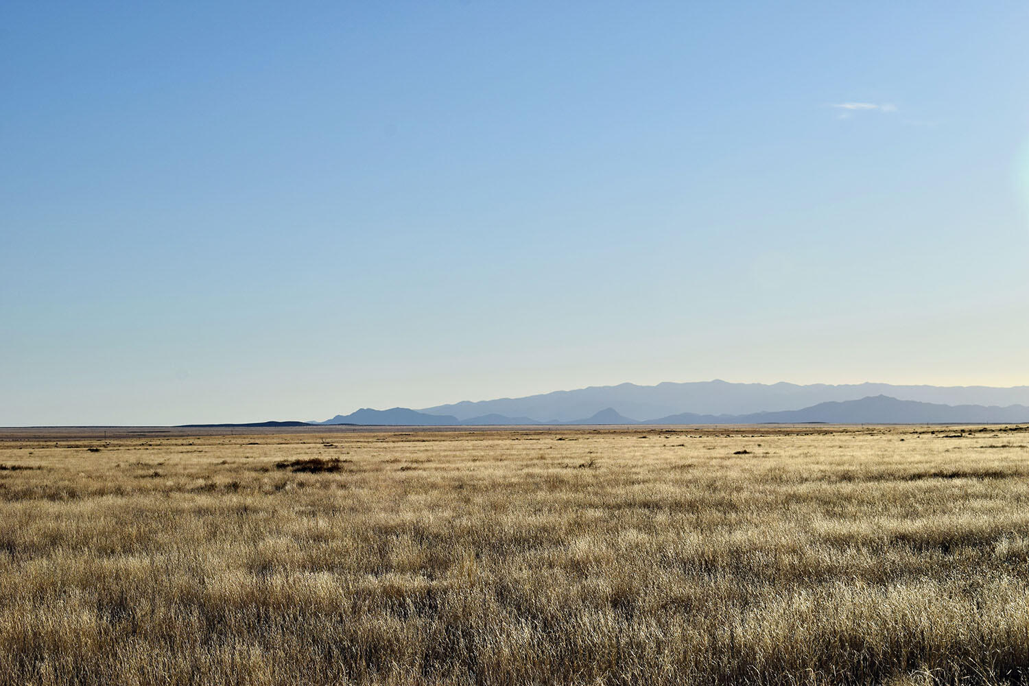 Photo 13 — Lot 1 Comales Drive