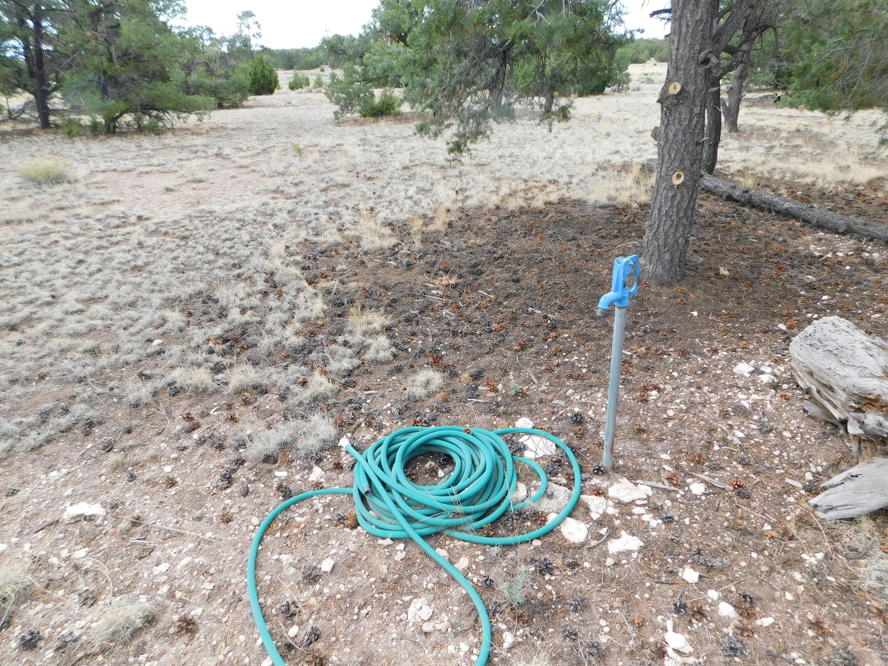 Photo 13 — 246 Spring Canyon Drive