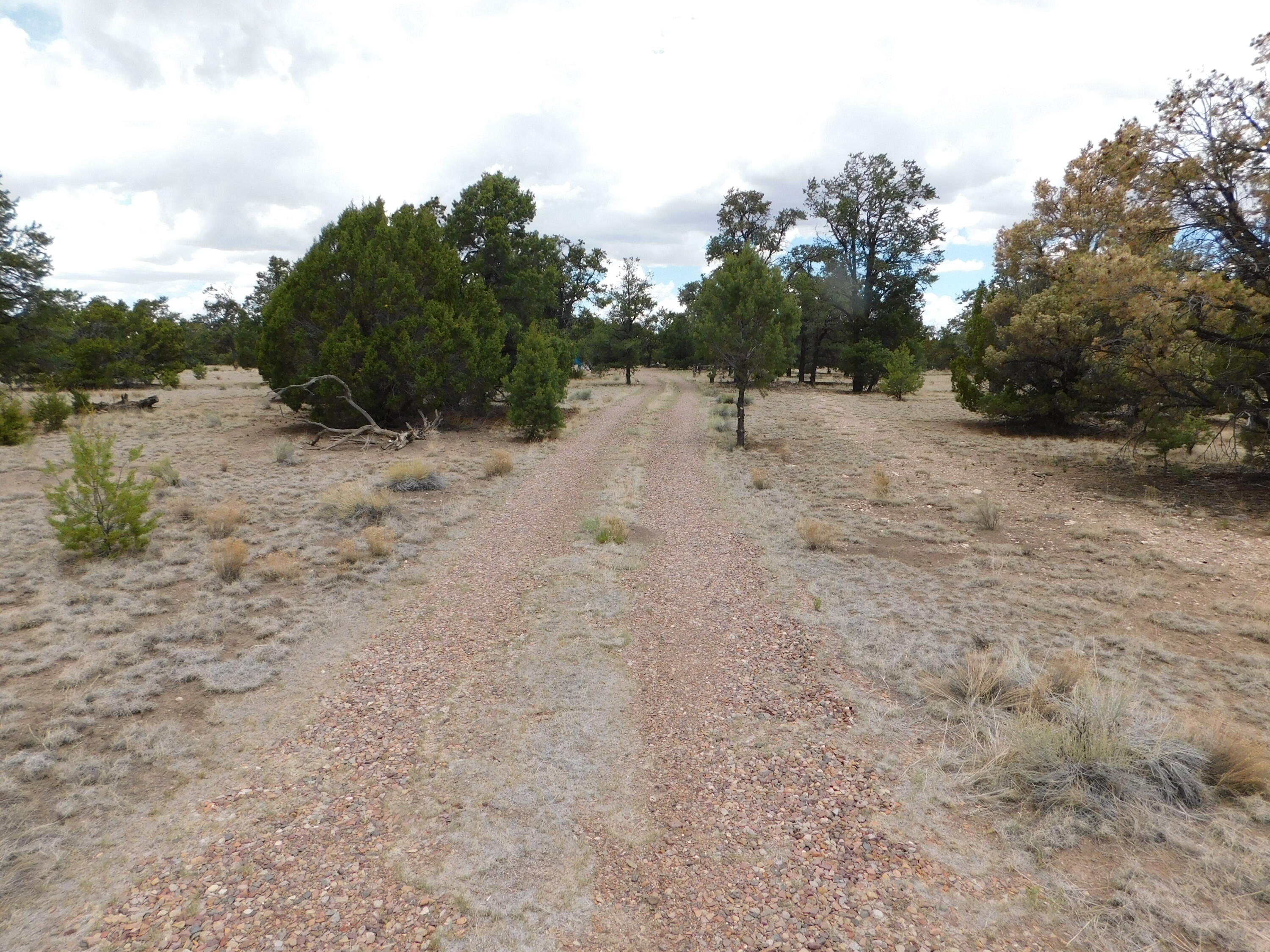 Photo 12 — 246 Spring Canyon Drive