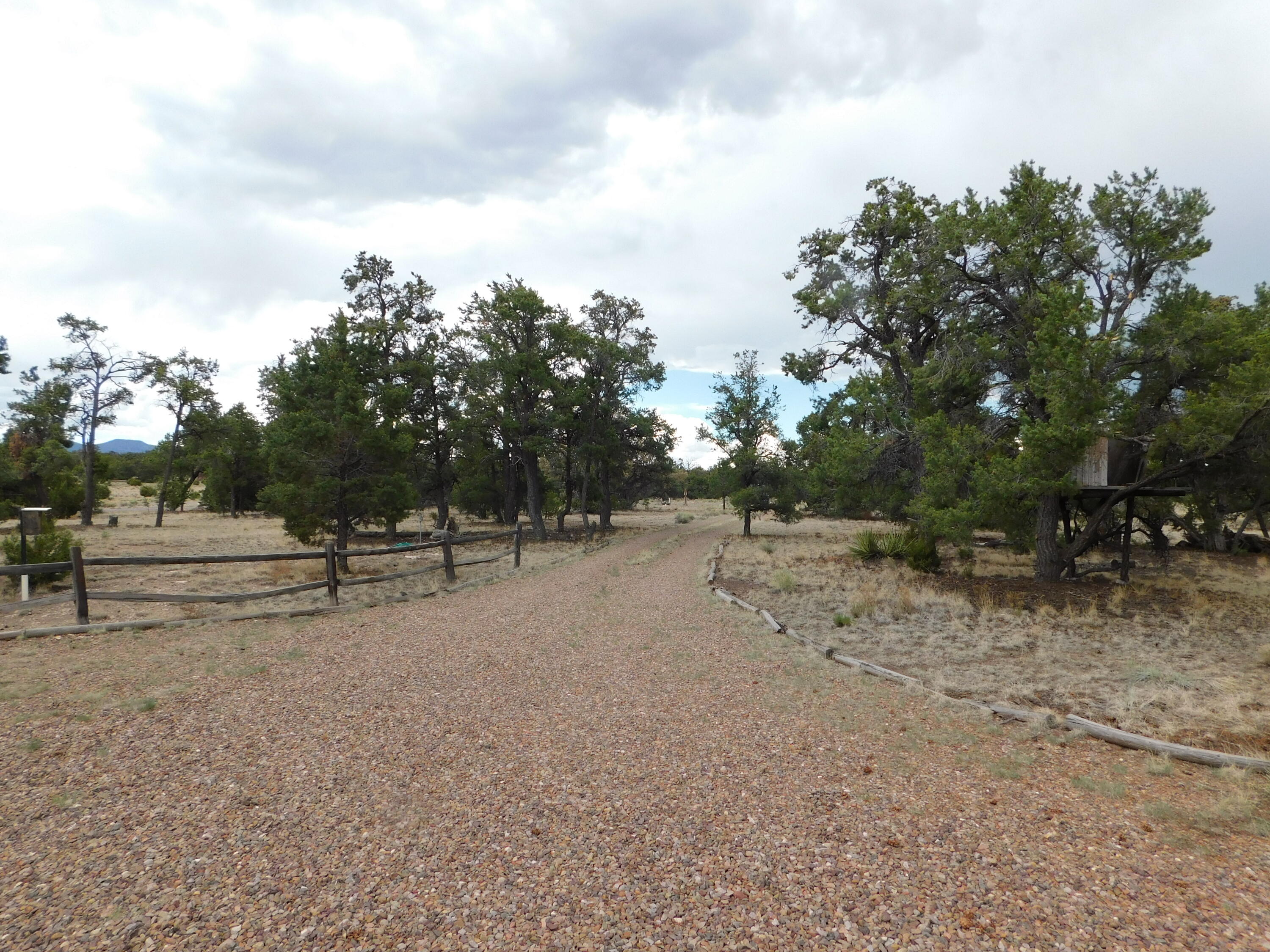 Photo 10 — 246 Spring Canyon Drive