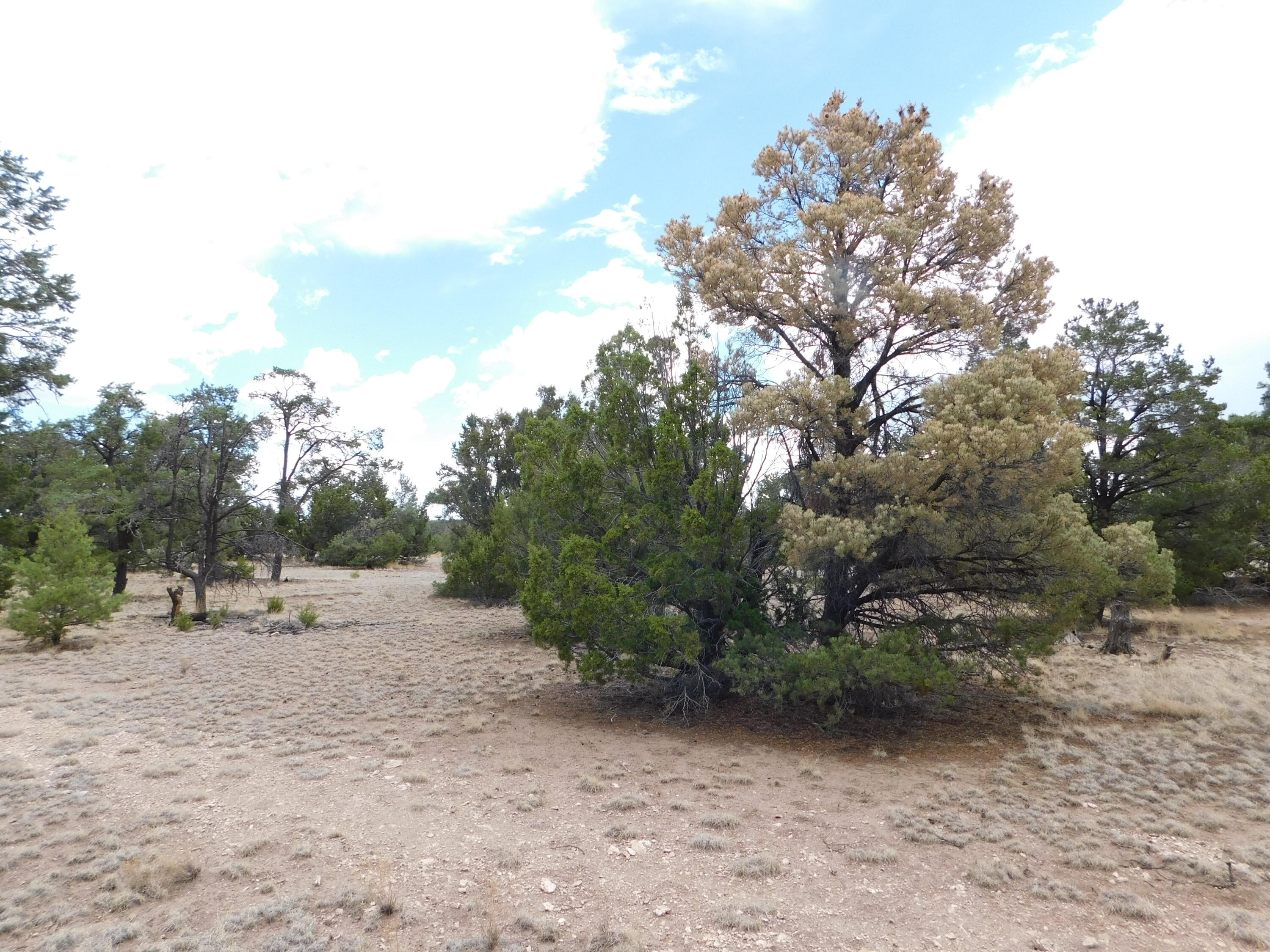 Photo 8 — 246 Spring Canyon Drive