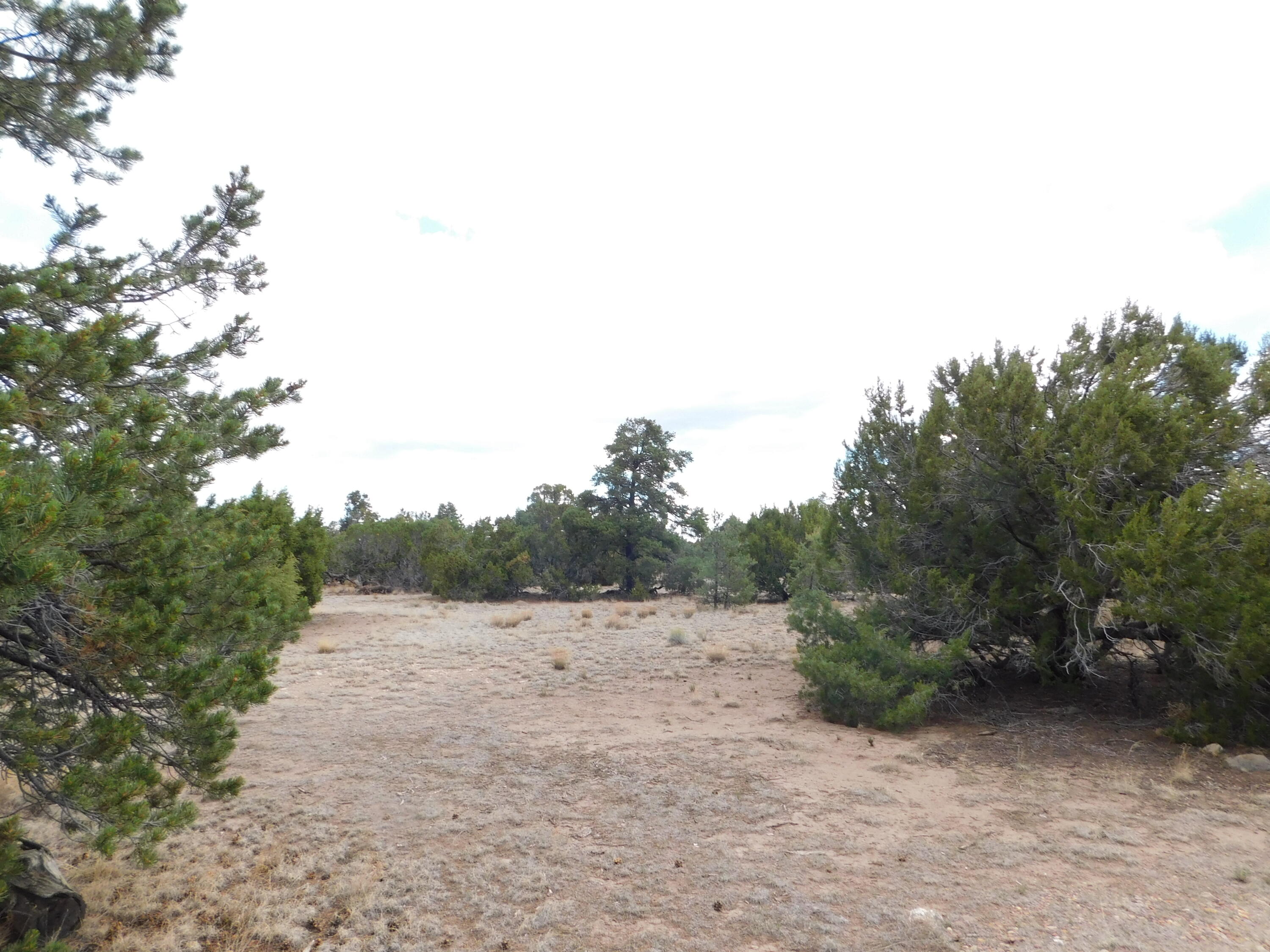 Photo 6 — 246 Spring Canyon Drive