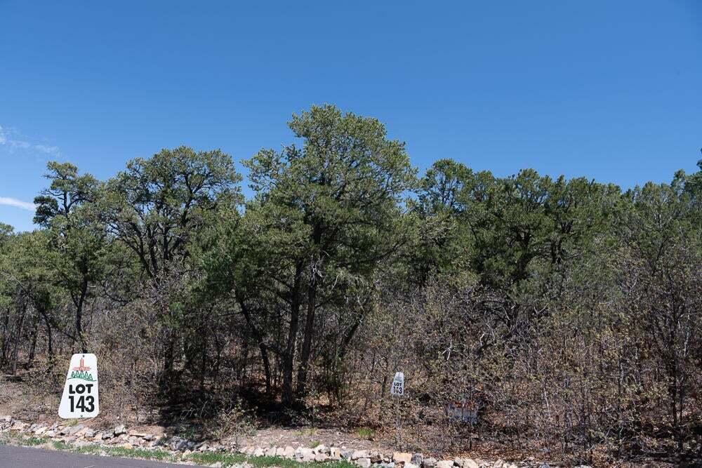 Photo 2 — 9 Los Pecos Lp