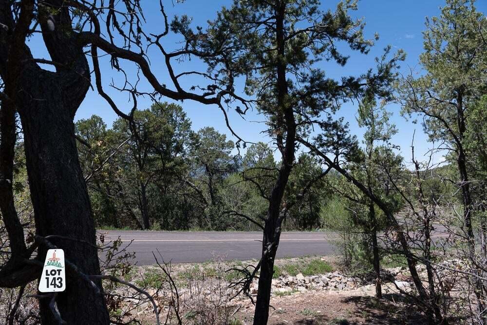Photo 4 — 9 Los Pecos Lp