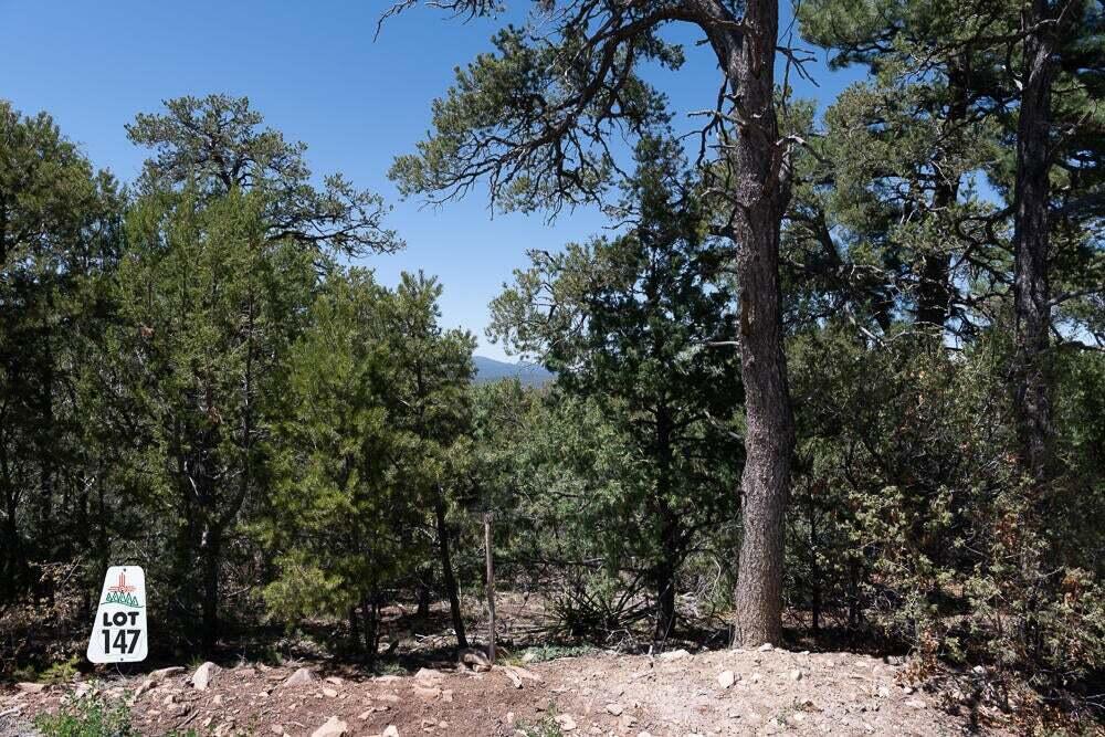 Photo 4 — 6 Los Pecos Lp
