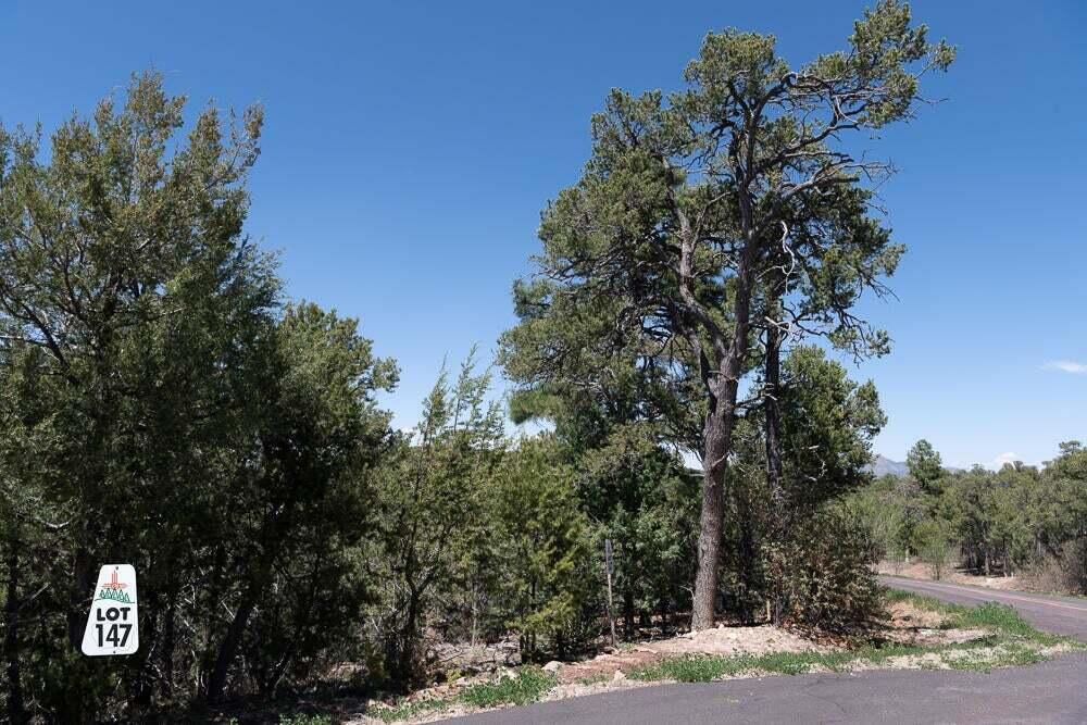 Photo 5 — 6 Los Pecos Lp