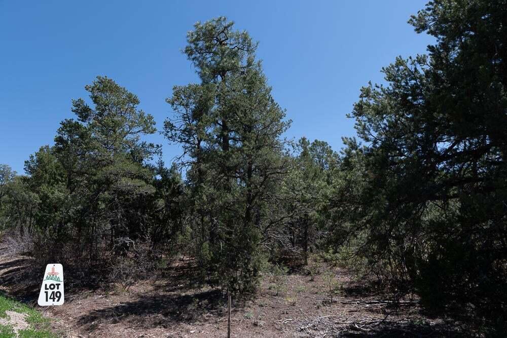 Photo 6 — 14 Los Pecos Lp