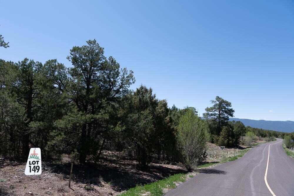 Photo 2 — 14 Los Pecos Lp