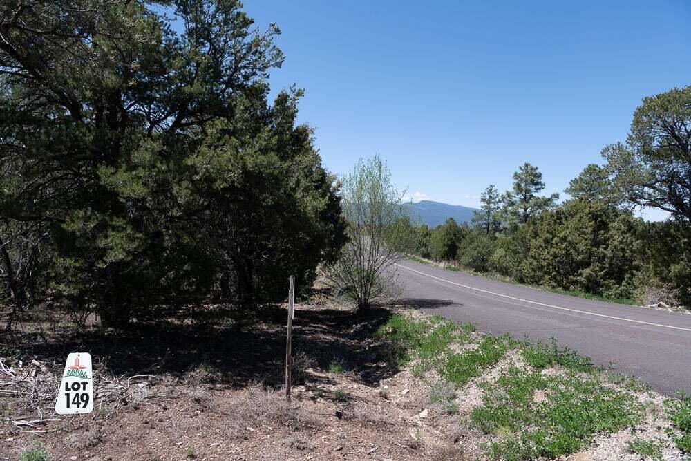 Photo 3 — 14 Los Pecos Lp