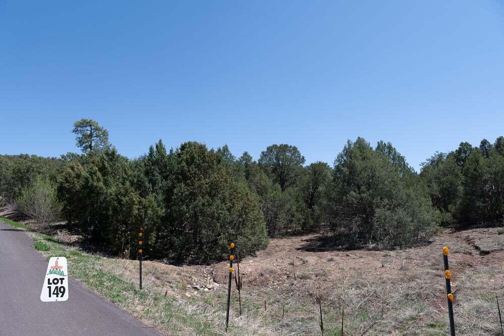 Photo 4 — 14 Los Pecos Lp