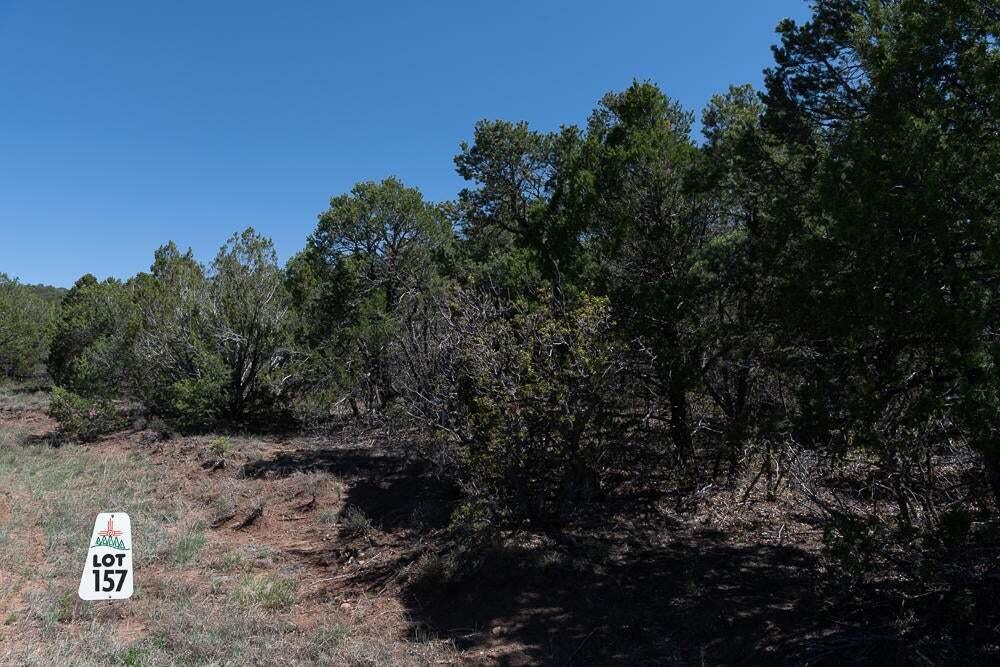 Photo 4 — 50 Los Pecos Lp