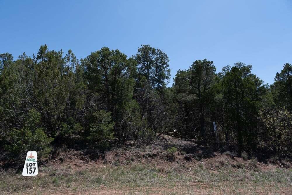 Photo 5 — 50 Los Pecos Lp