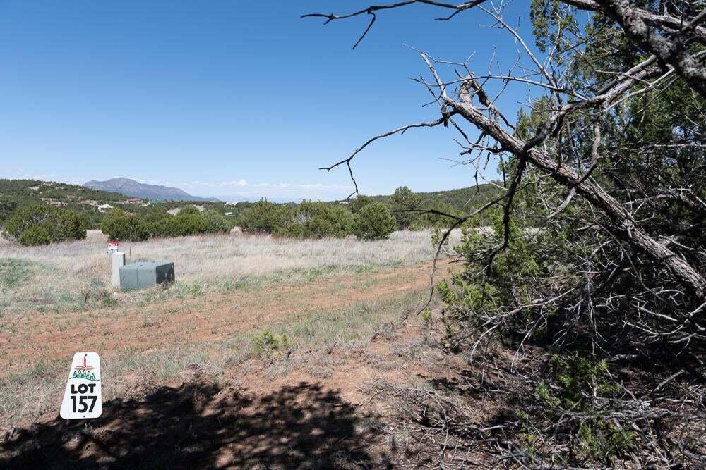 Photo 2 — 50 Los Pecos Lp