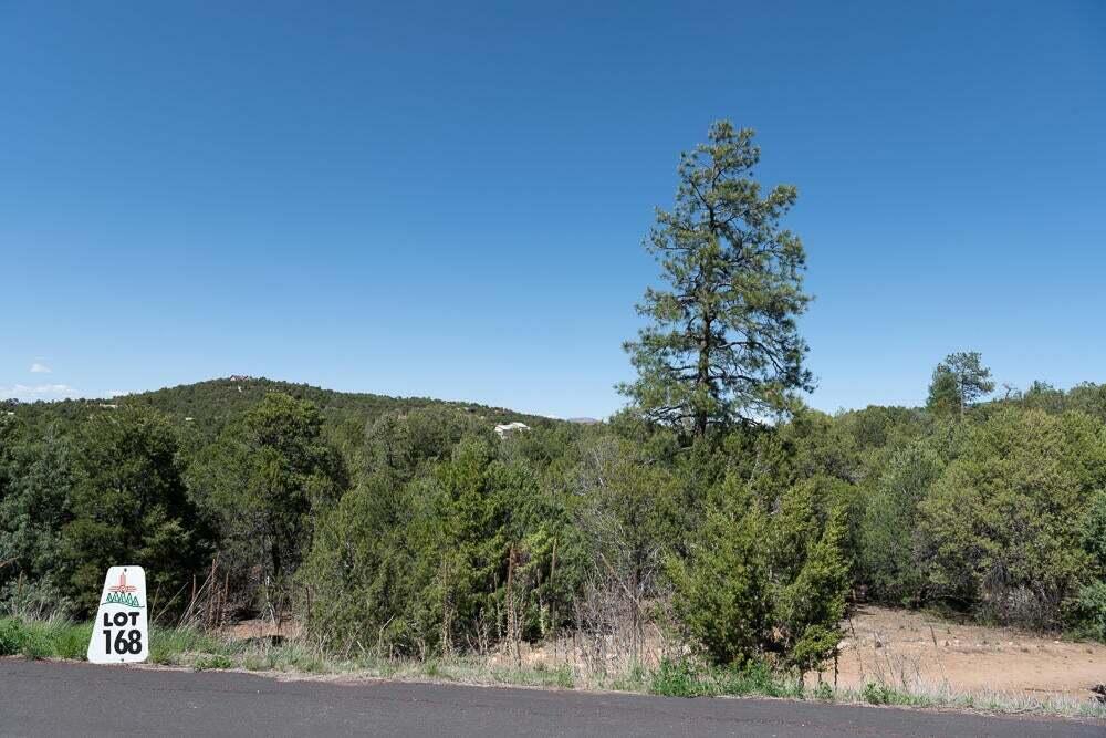 Photo 3 — 25 Los Pecos Lp