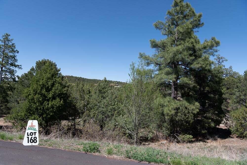 Photo 5 — 25 Los Pecos Lp