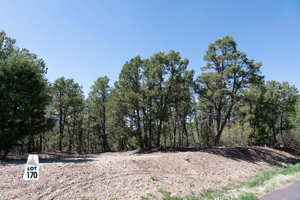Photo 2 — 12 Los Pecos Trail