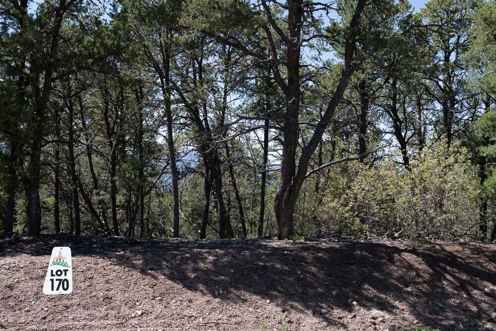 Photo 3 — 12 Los Pecos Trail