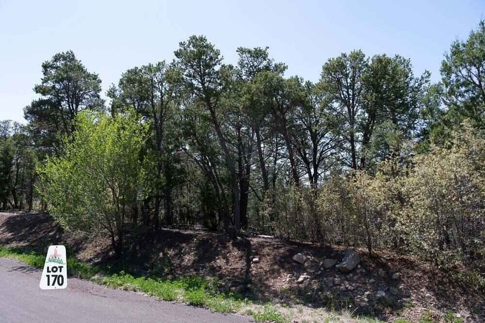 Photo 4 — 12 Los Pecos Trail