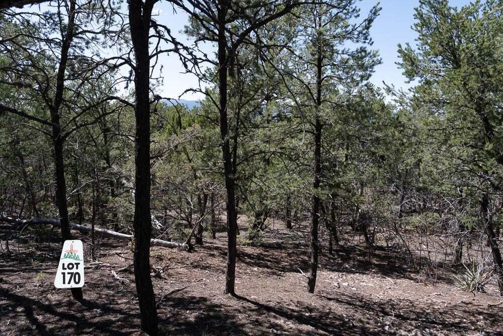 Photo 5 — 12 Los Pecos Trail